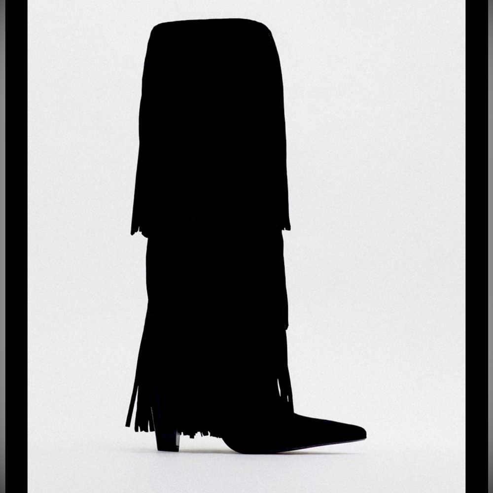 Zara Fringe knee boot